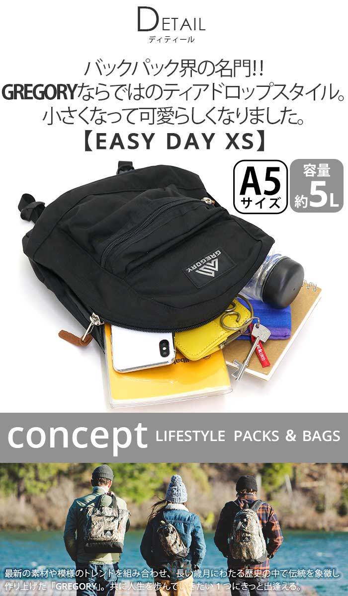 GREGORY DAYPACK グレゴリー デイパック 26L（バックパック