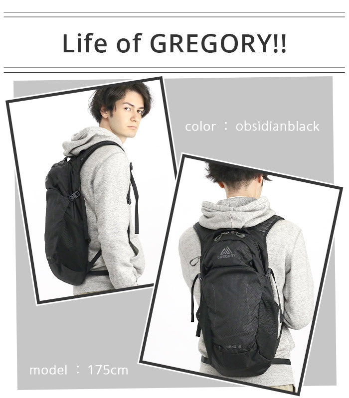 リュック GREGORY グレゴリー ナノ 18 リュック 18L 正規品 リュック