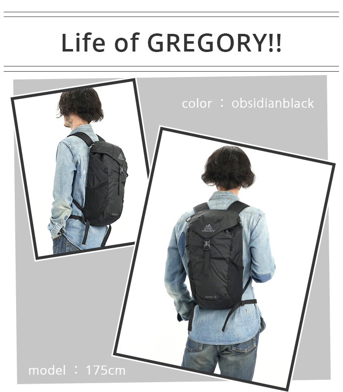 リュックサック GREGORY グレゴリー ナノ 16 リュック 16L 正規品