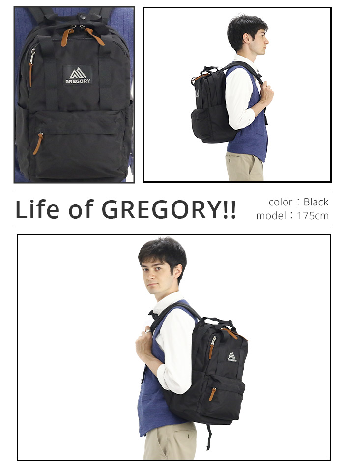 リュック GREGORY グレゴリー 18L 正規品 リュックサック メンズ