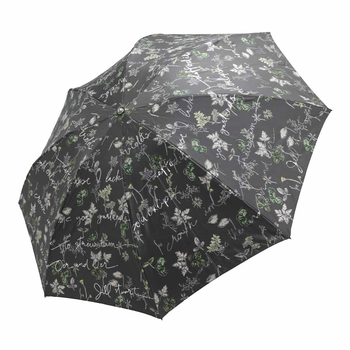 JILL STUART（ジルスチュアート） 雨傘 折りたたみ傘 レディース ジル