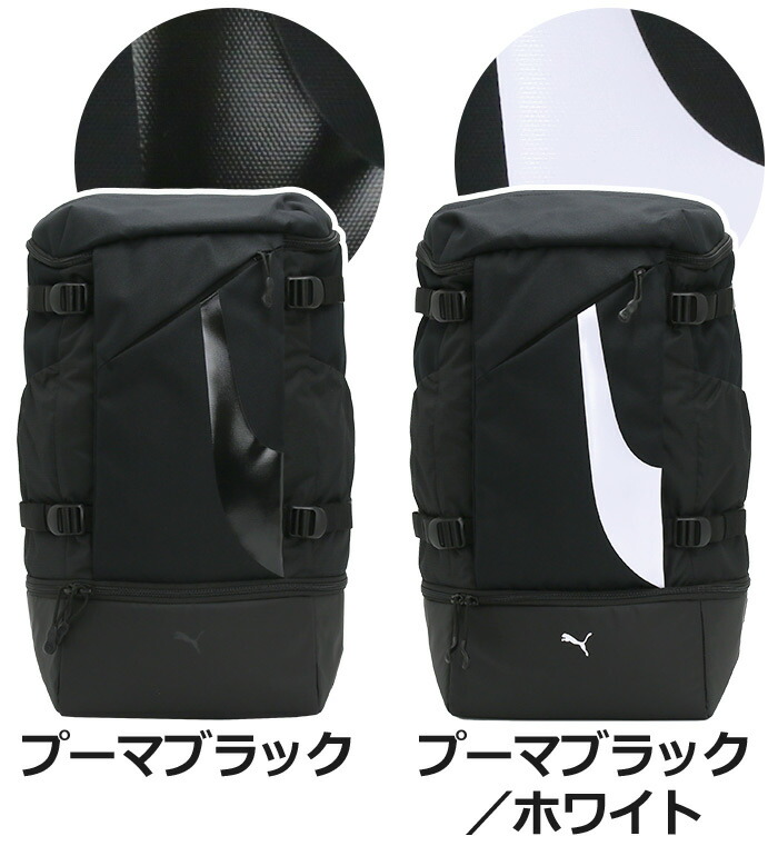 puma1-029_2.jpg