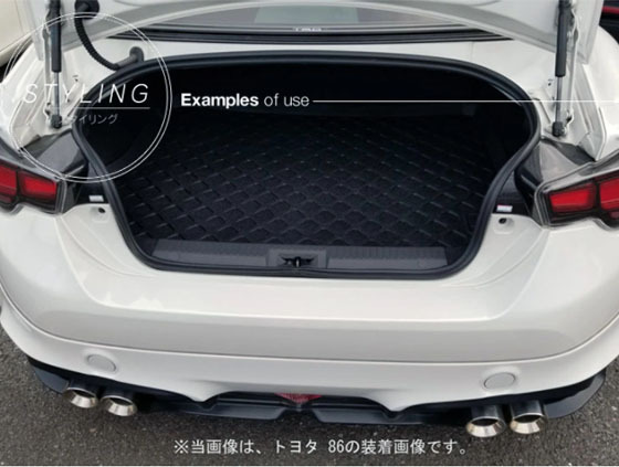 brz_6.jpg