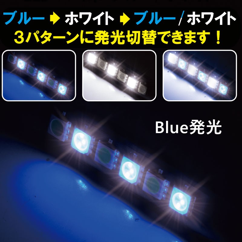 プロキオン LEDイルミネーション