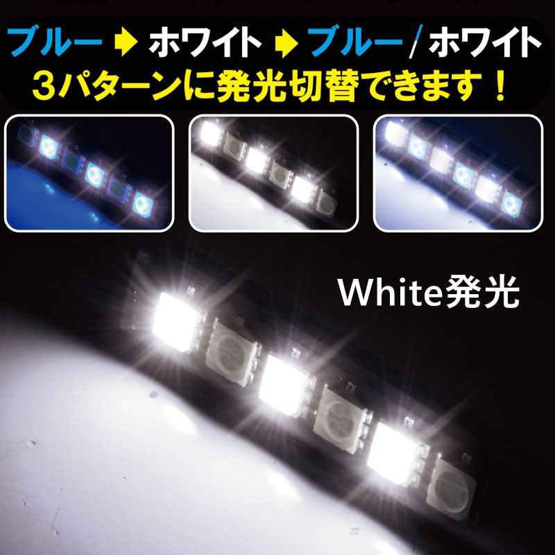 プロキオン LEDイルミネーション