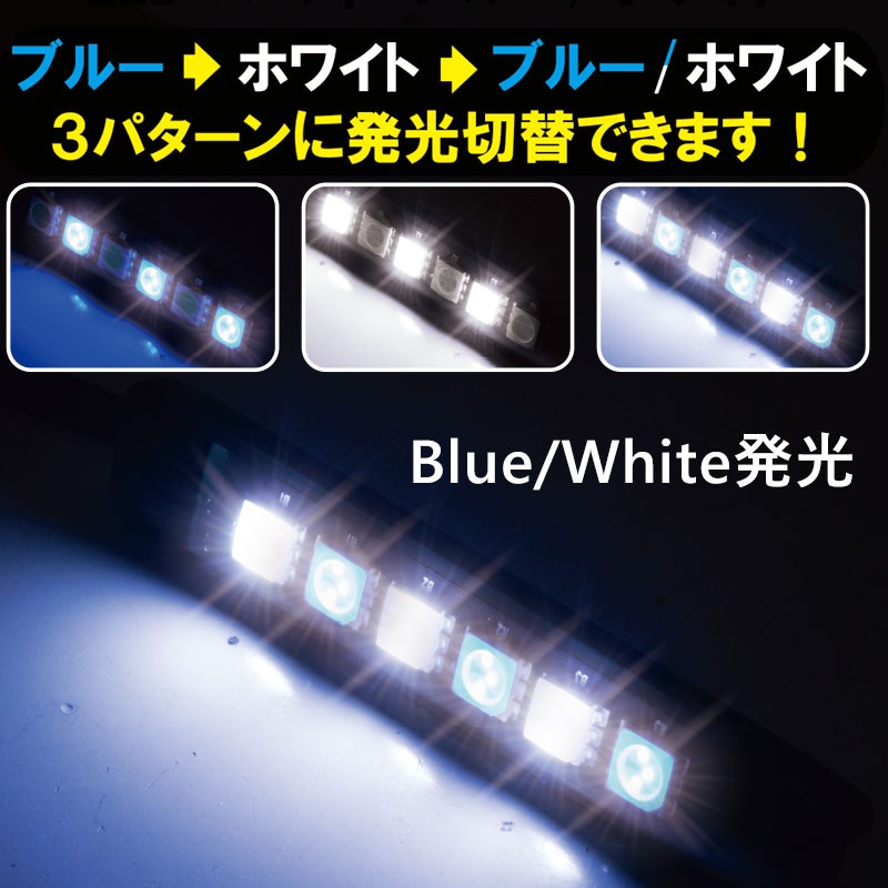 プロキオン LEDイルミネーション