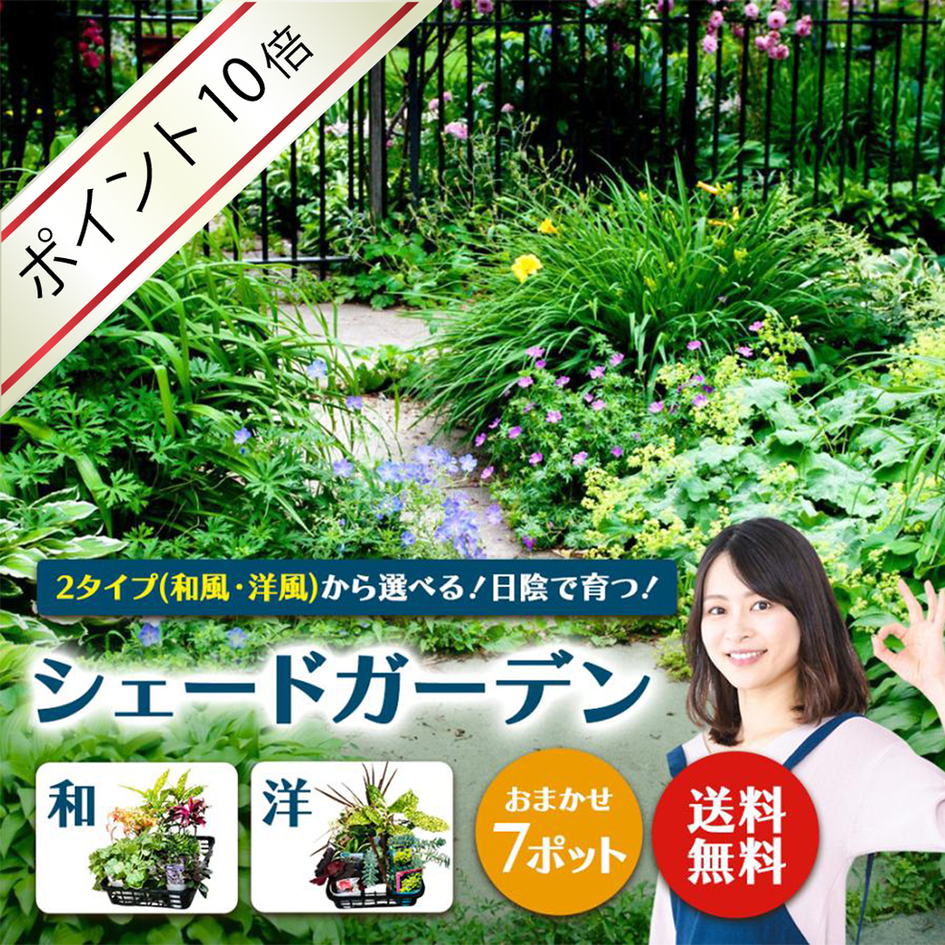 土っ子倶楽部 日陰で育つ 2タイプ(和風・洋風)から選べる シェードガーデン おまかせ7ポット Mix 苗 セット