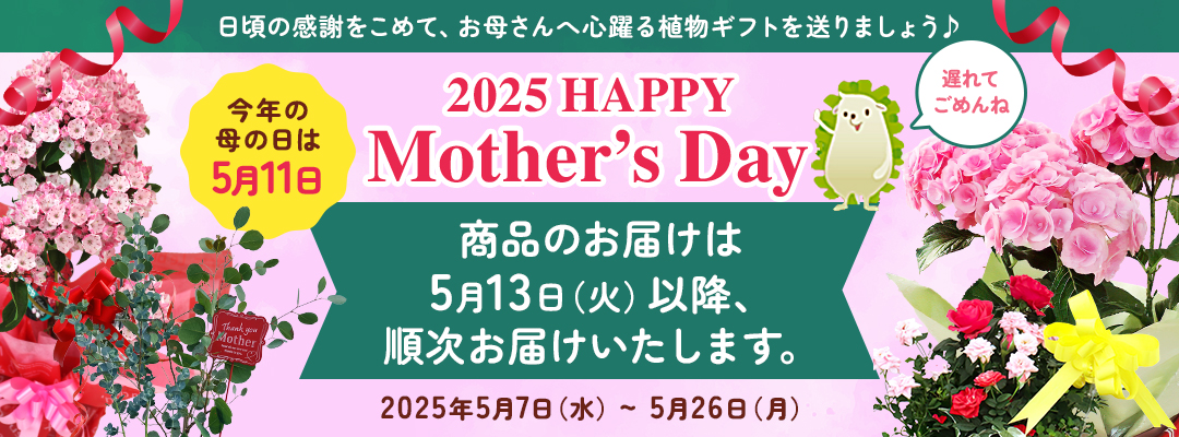 母の日P5倍
