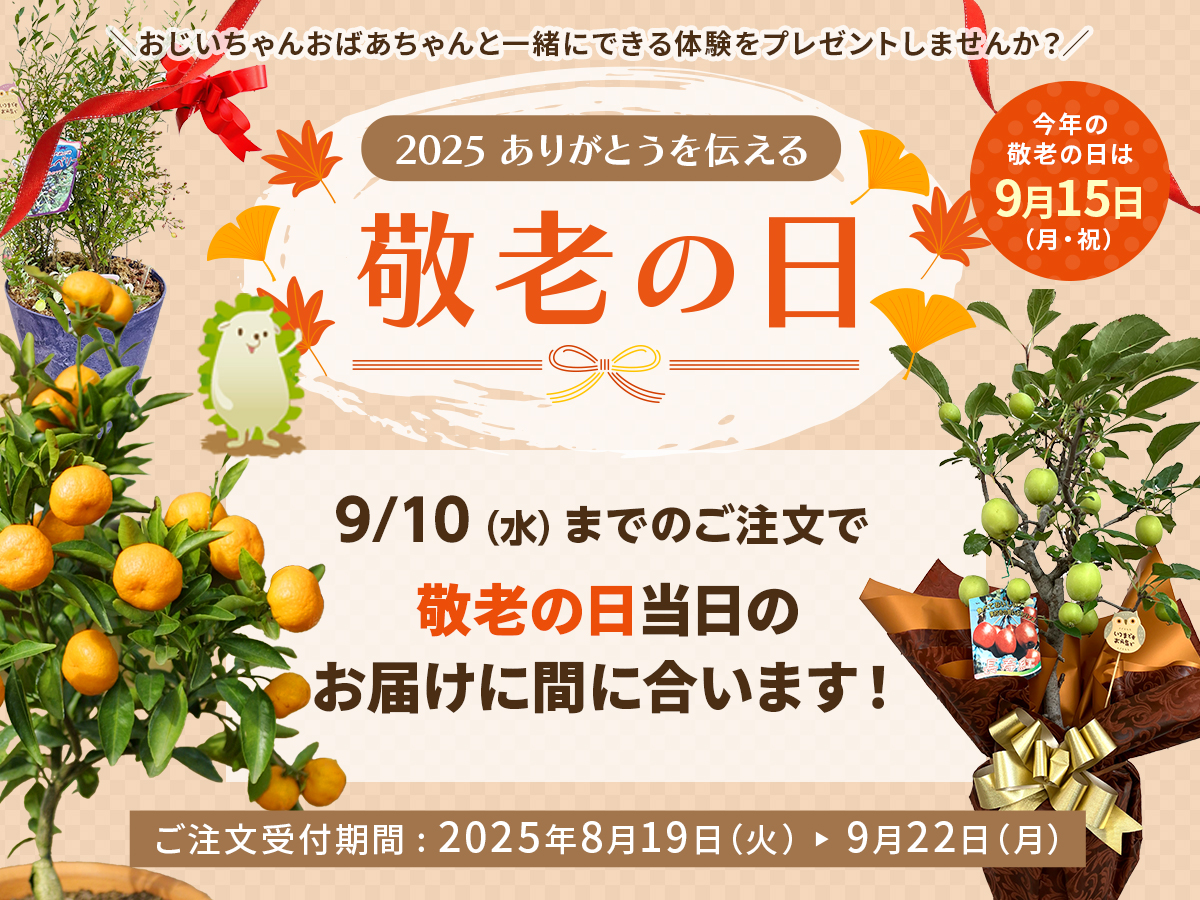 敬老の日ギフト