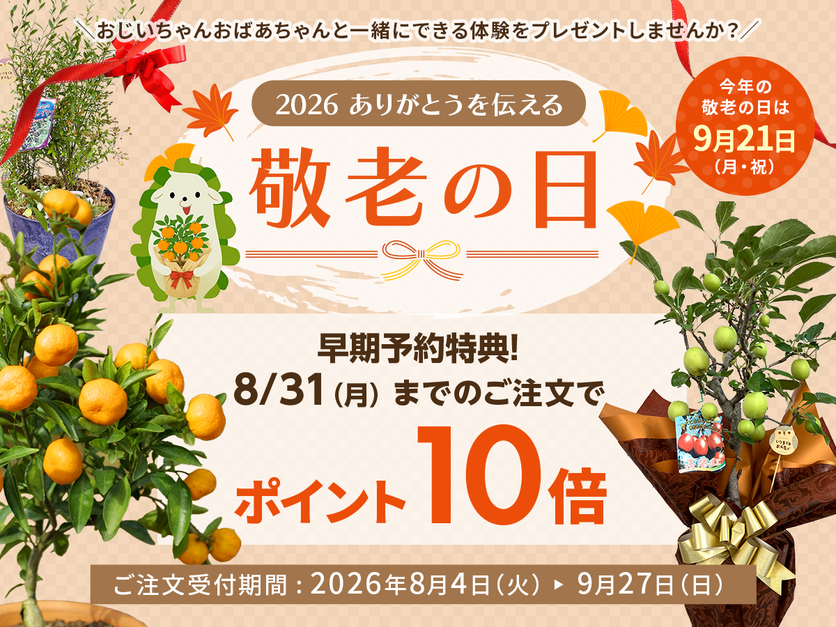 敬老の日　敬老　長寿