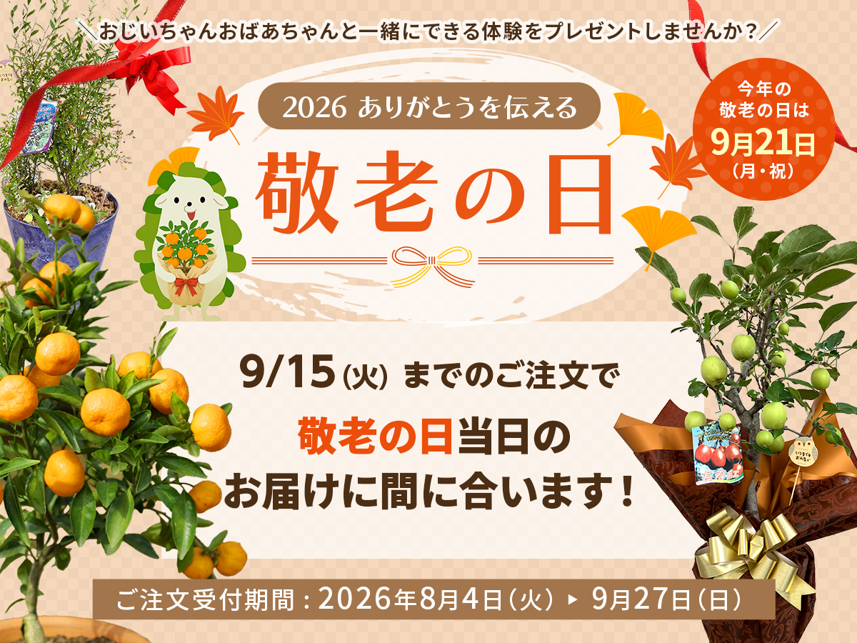 敬老の日　敬老　長寿