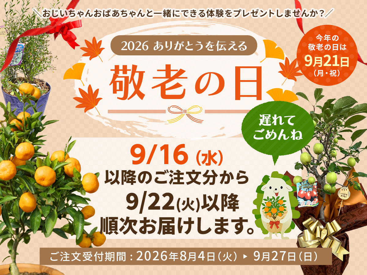 敬老の日　敬老　長寿