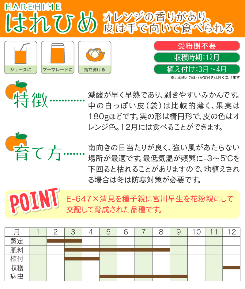 土っ子倶楽部の自慢の『柑橘類』