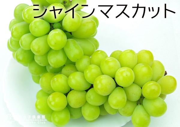 シャインマスカット