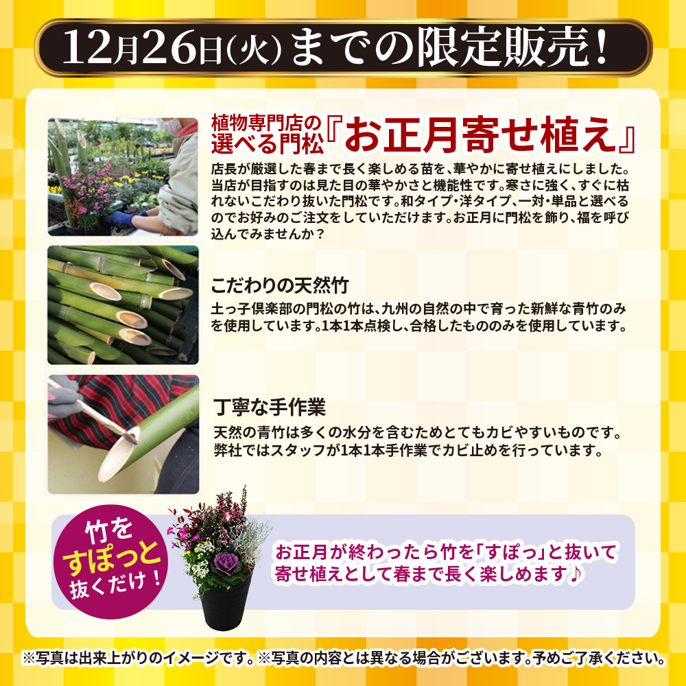 正月飾り 門松 送料無料『 お正月寄せ植え 』 単品1個 門松アレンジ寄せ植え 7号鉢植え 高さ約70cm 単品 正月 お祝い 縁起 約60~70cm  : gp-029 : 花と緑の専門店 土っ子倶楽部 - 通販 - Yahoo!ショッピング