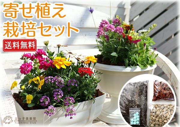 花苗と肥料と土と鉢が付いてこの価格！『 寄せ植え 栽培セット