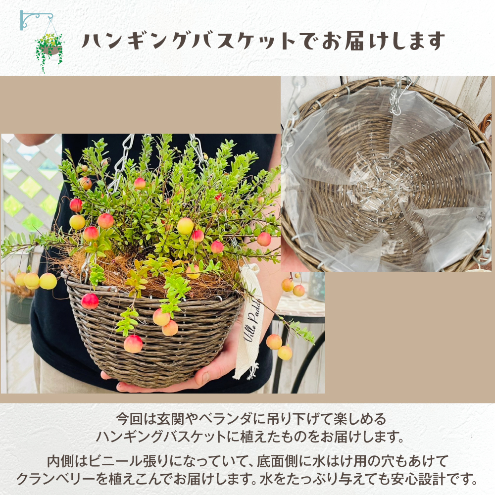 クランベリーハンギング【選べる2色】