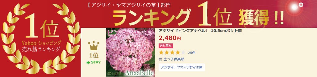 ランキング