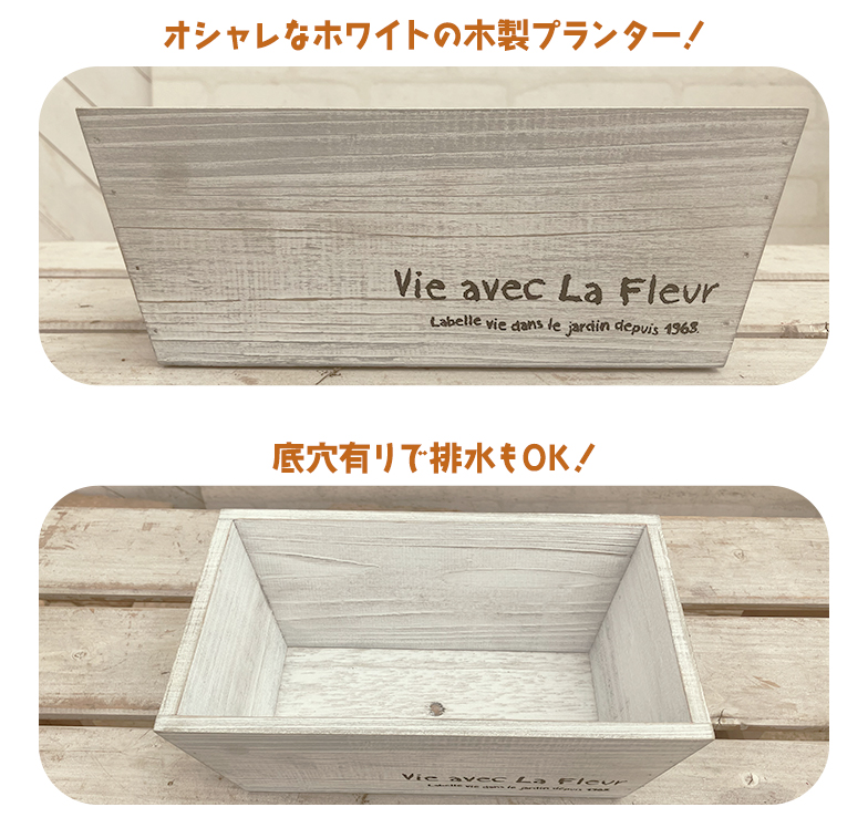カーネーションとハーブのおくりもの