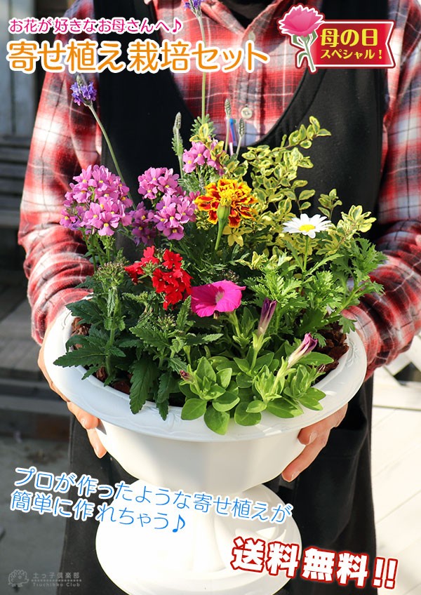 寄せ植え栽培セット