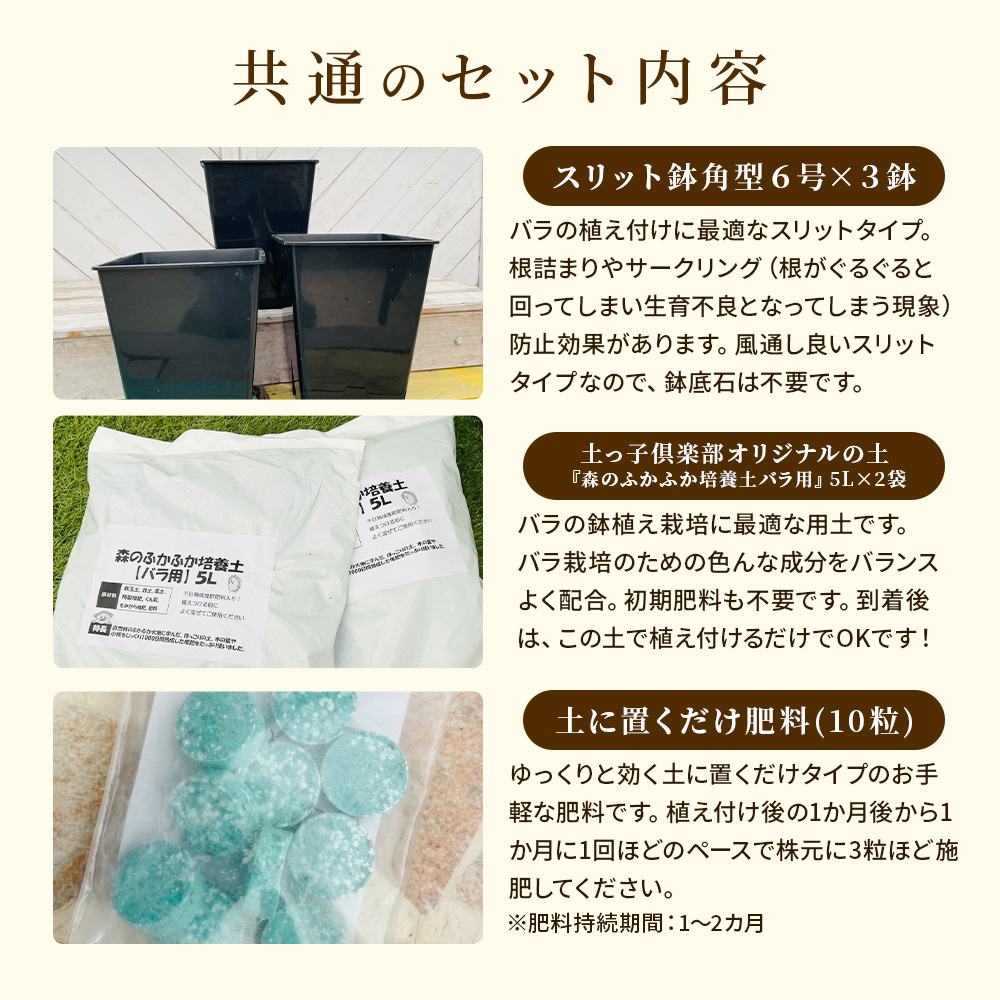 Happy バラ の 福箱 セット【選べる3タイプ】〜ローズガーデンスタート