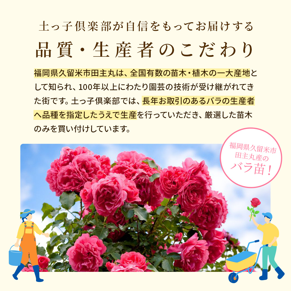 Happy バラ の 福箱 セット【選べる3タイプ】〜ローズガーデンスタート