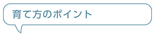 育て方のポイント