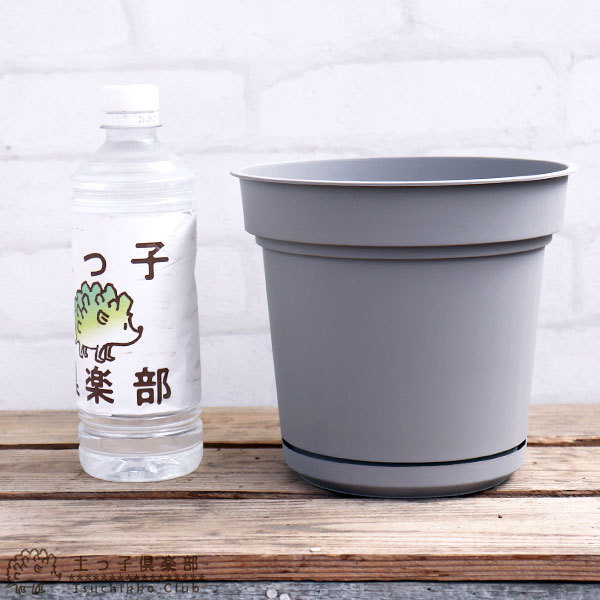 植木鉢 『 ハイドポット 』 18cm 貯水機能受皿付 : 花と緑の専門店 土