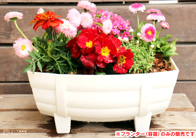鉢・プランター taL タル型プランター ホワイト （ 白 ） 《 径28cm×20cm 》 : 花と