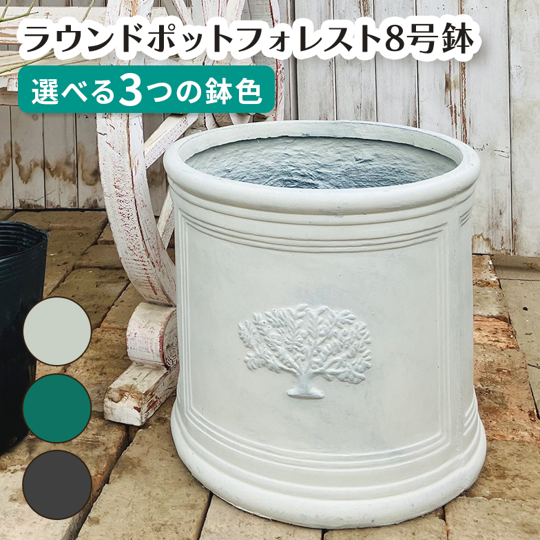 ラウンドポット フォレスト8号（選べる3色）外径ф32.5cm×高さ30cm : 花