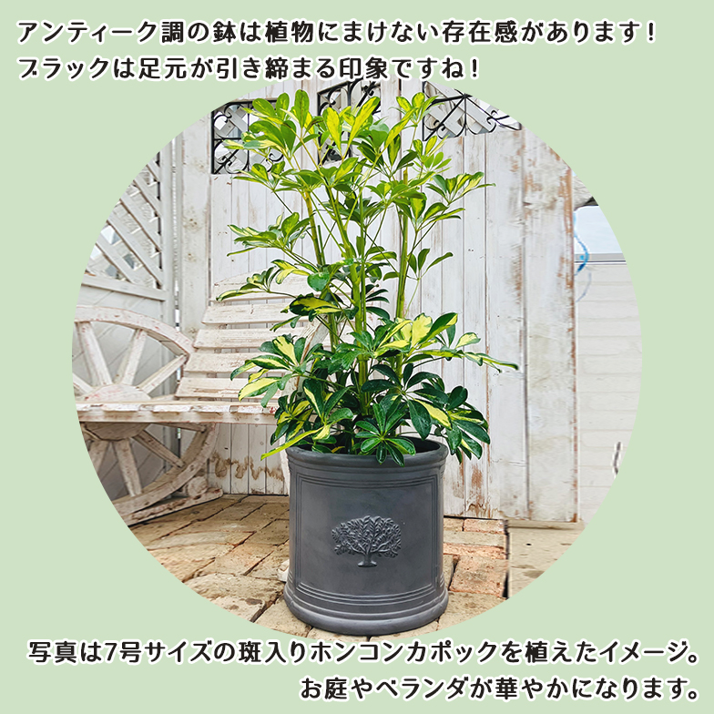 ラウンドポット フォレスト8号(選べる3色)外径ф32.5cm×高さ30cm : 花 ラウンドポット フォレスト8号(選べる3色)外径ф32.5cm×高さ30cm : 花