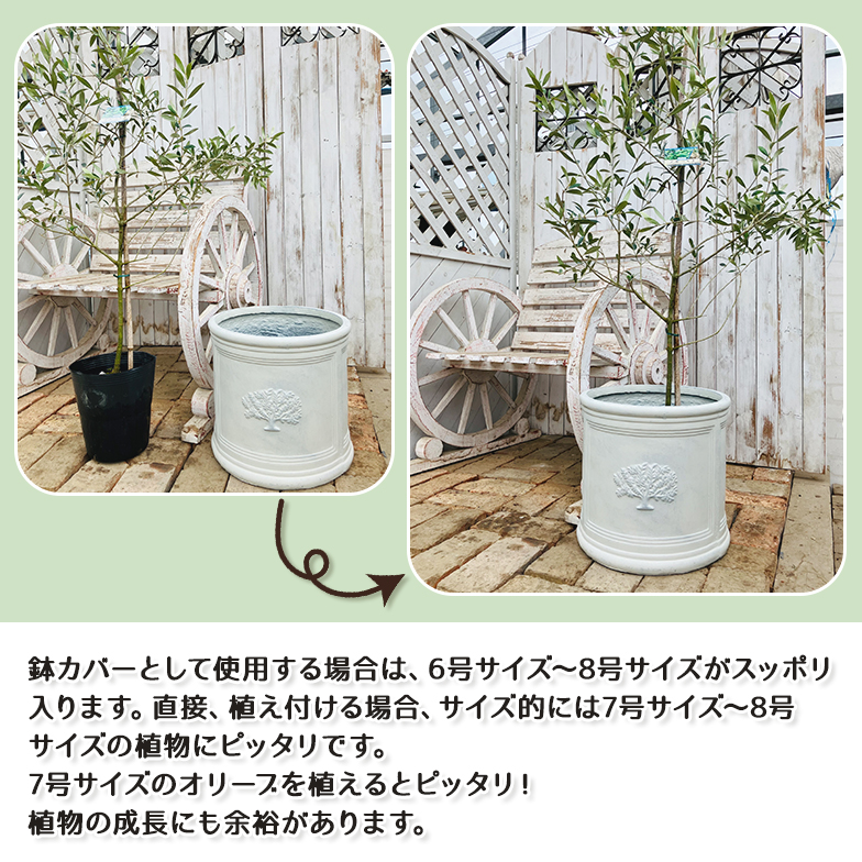 ラウンドポット フォレスト8号（選べる3色）外径ф32.5cm×高さ30cm : 花