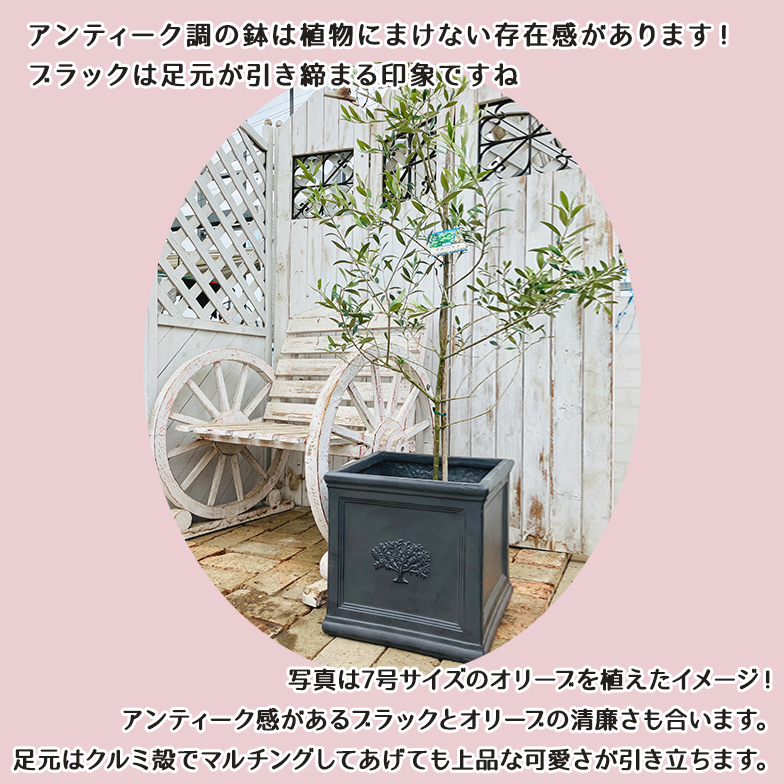 スクエアポット フォレスト8号（選べる3色）外巾32cm×奥行32cm×高さ