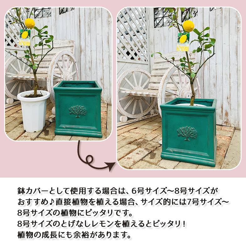 スクエアポット フォレスト8号（選べる3色）外巾32cm×奥行32cm×高さ