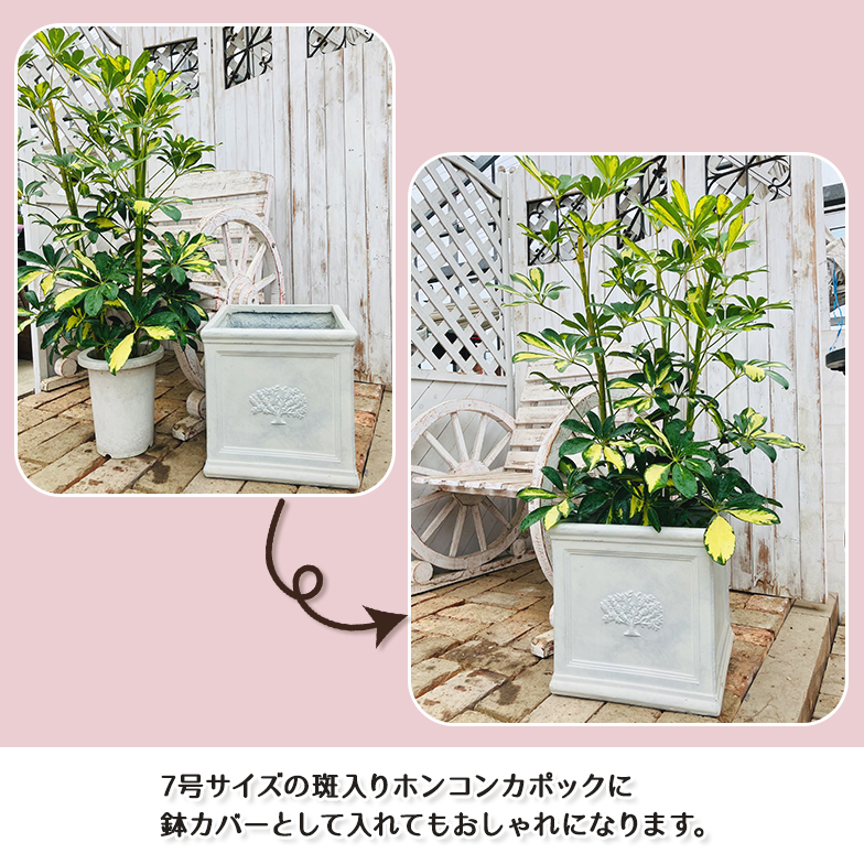 スクエアポット フォレスト8号（選べる3色）外巾32cm×奥行32cm×高さ