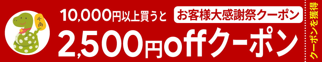 10,000円以上のお買い物で2,500円offクーポン