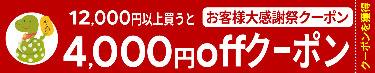 12,000円点以上のお買い物で4,000円offクーポン