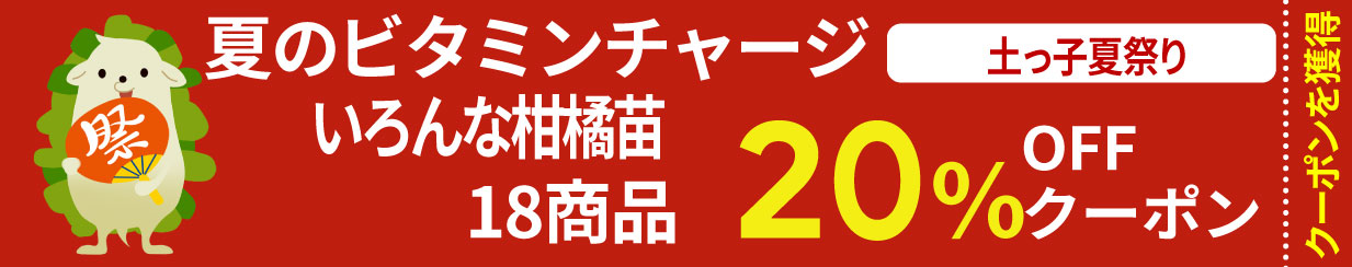 クーポン