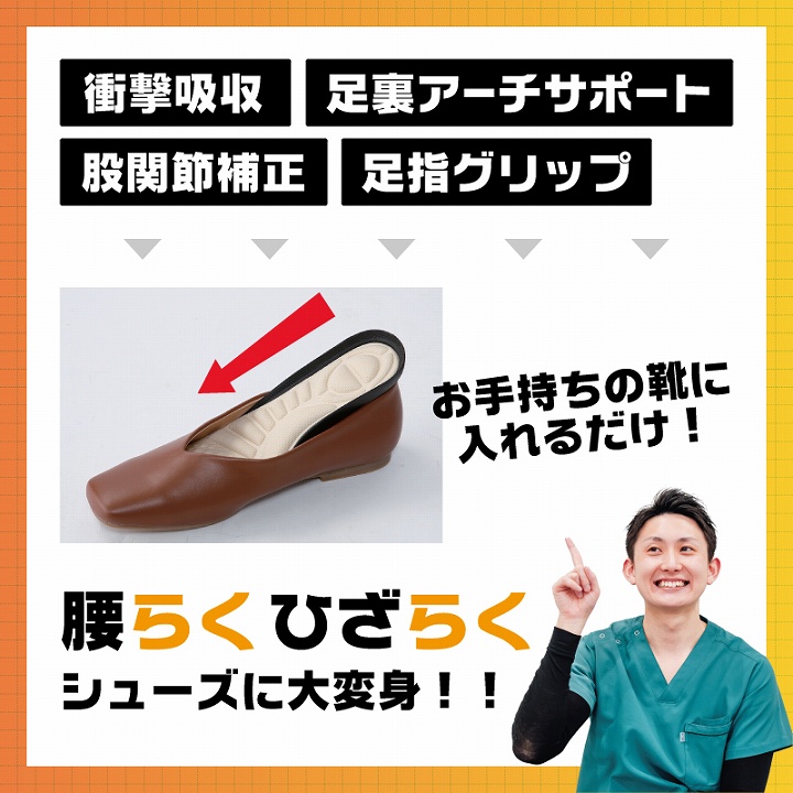 お手持ちの靴に入れるだけ