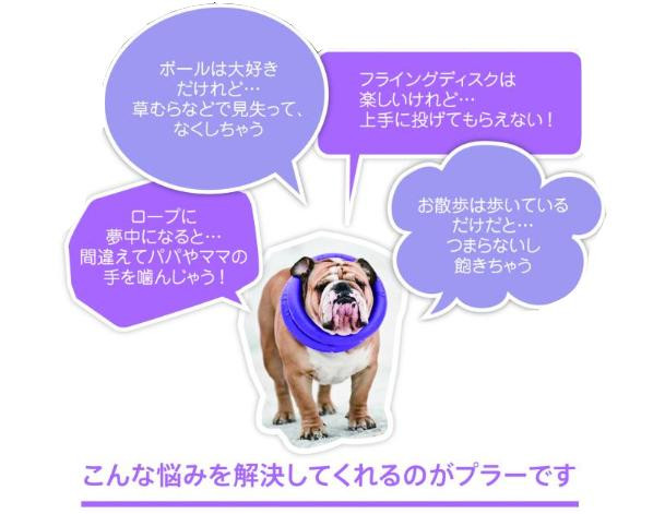 ドッグトレーニング玩具 特大