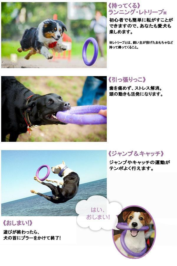 ドッグトレーニング玩具 特大