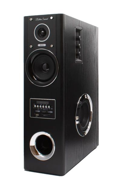 ダイナミックサウンドスピーカー DS-12 黒木目調