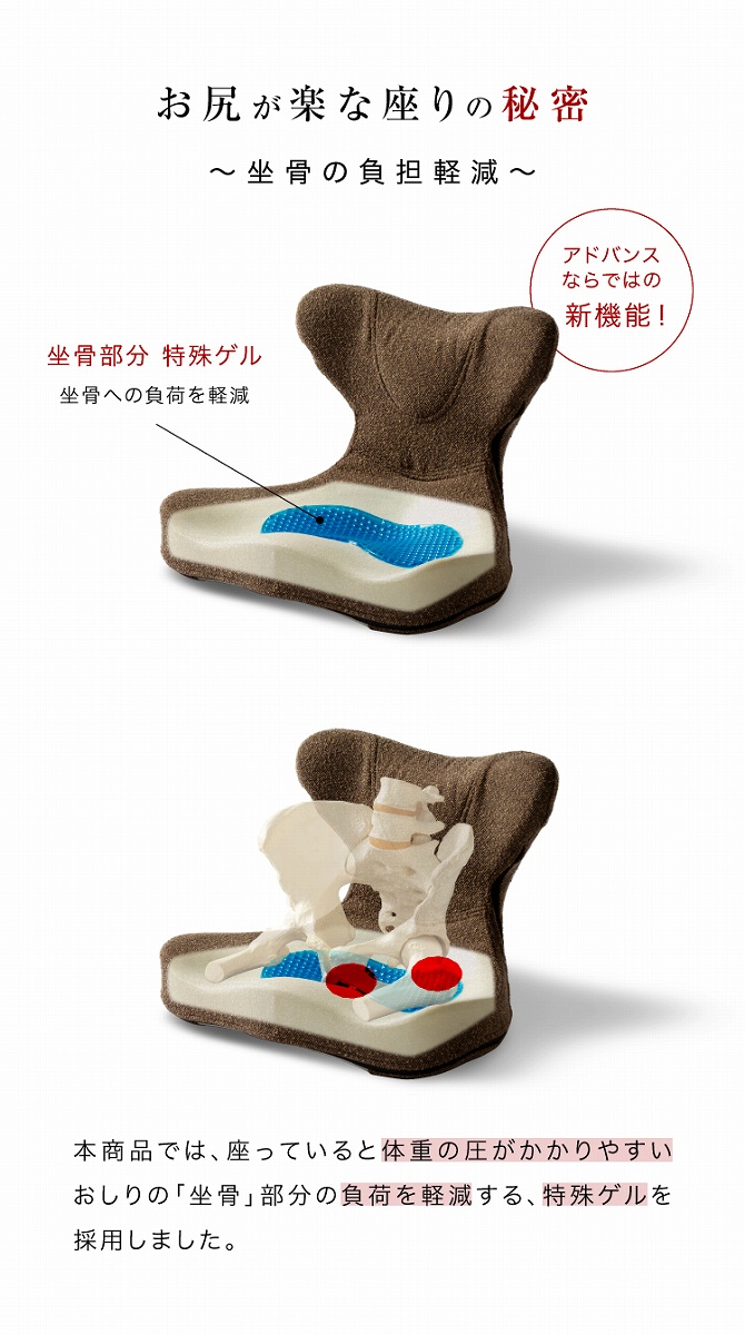 座椅子 腰痛 馬具マット 美姿勢 馬具マットプレミアムアドバンス 腰