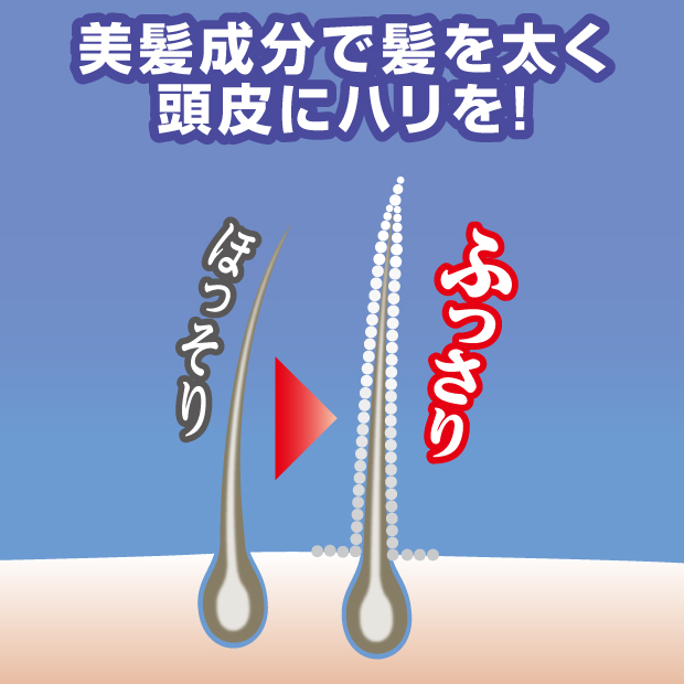 美髪成分で髪を太く 頭皮にハリを