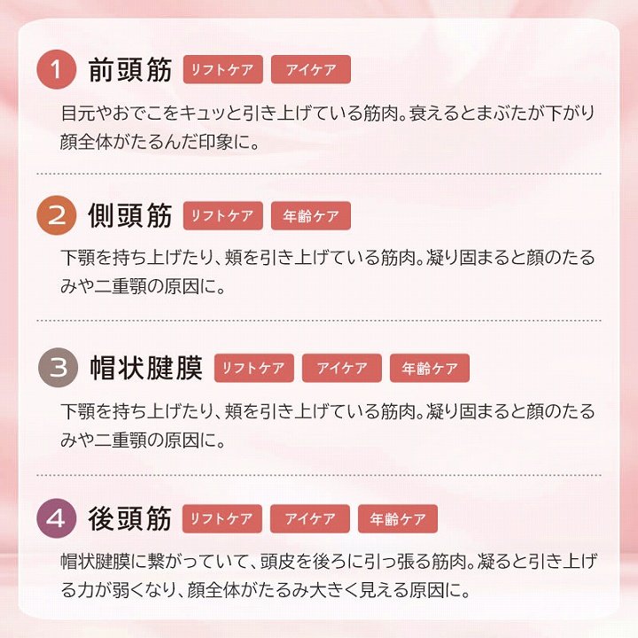 前頭筋　側頭筋　帽状腱膜　後頭筋