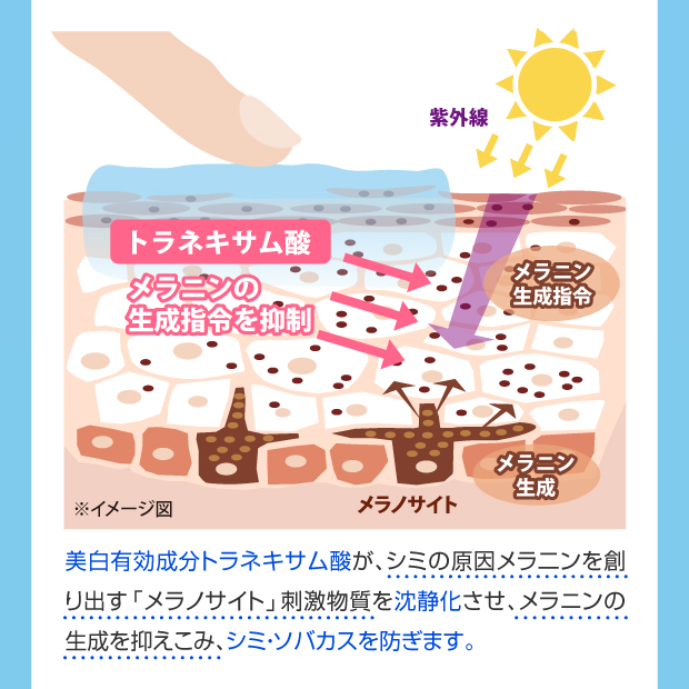 トラネキサム酸 メラニンの生成指令を抑制