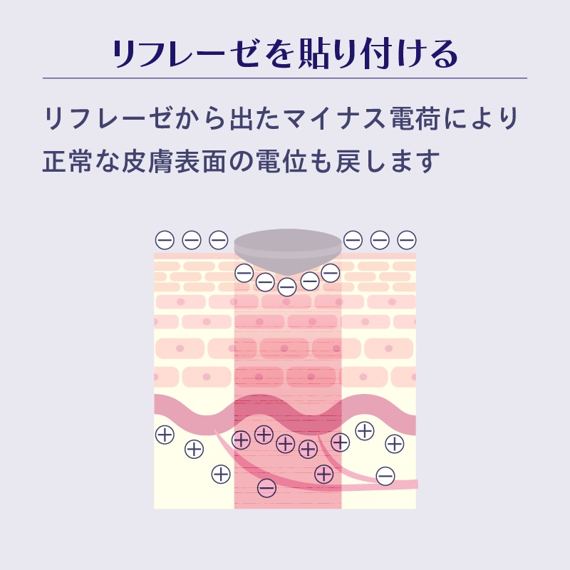 リフレーゼを貼り付ける