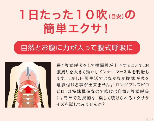 lbps-04.jpg (103340 バイト)