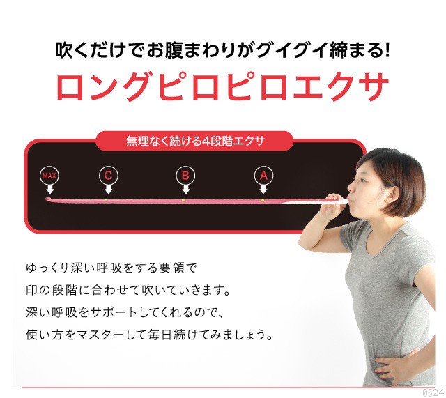 lbps-07.jpg (85001 バイト)