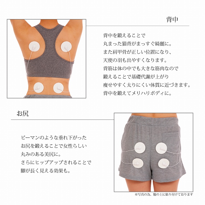 背中　お尻